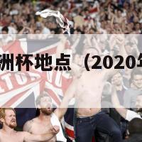 2020年欧洲杯地点（2020年欧洲杯比赛地点）