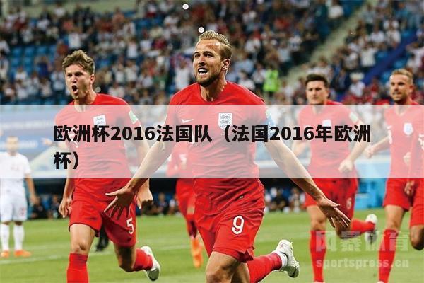 欧洲杯2016法国队（法国2016年欧洲杯）