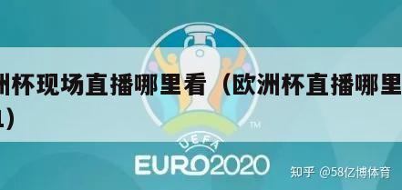 欧洲杯现场直播哪里看（欧洲杯直播哪里看2021）