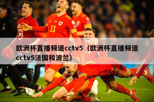 欧洲杯直播频道cctv5（欧洲杯直播频道cctv5法国和波兰）