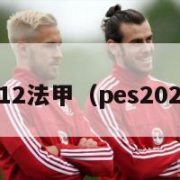 pes2012法甲（pes2020德甲）